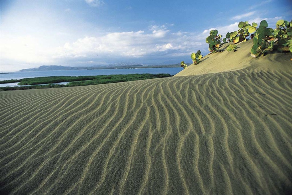 The one and only desert of the Caribbean - Las Dunas de Bani