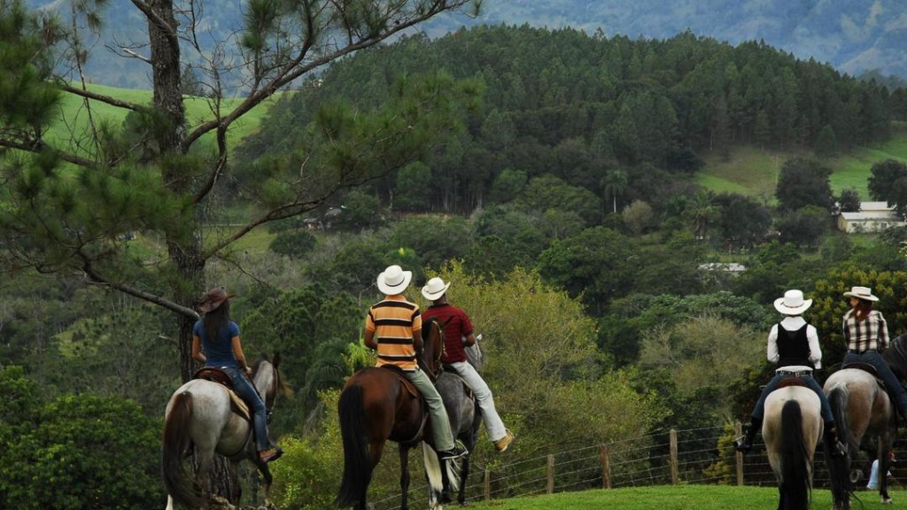 Horseback Riding in the Cordillera Central