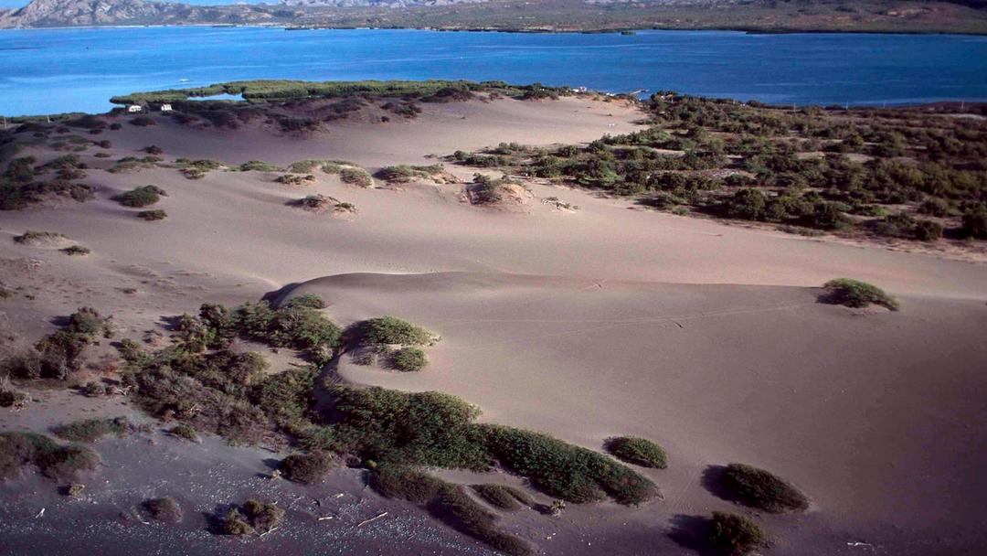 Las Dunas de Baní, the sole desert in the Caribbean