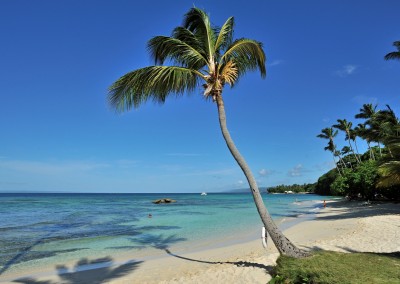 A beautiful pristine beach on the Samaná peninsula