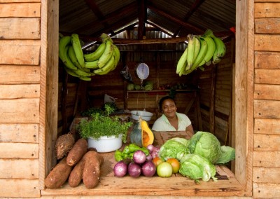 Woman in her small fruit and veg shop near Las Galeras, Samana.