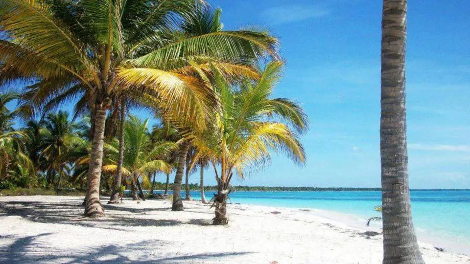 dominican_republic_travel_destination_wedding_saona_island_002_beach_ergebnis