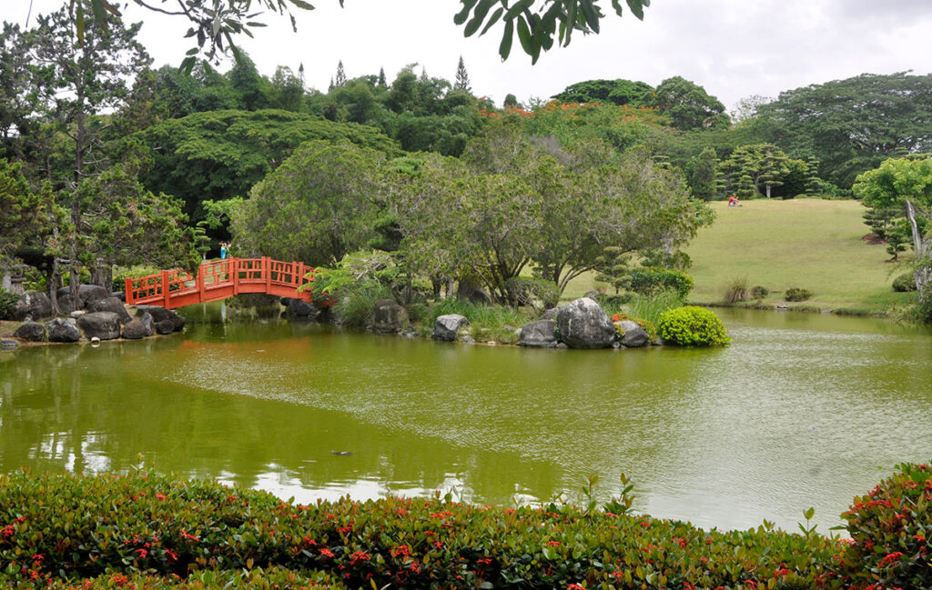 Jardin Botanico Santo Domingo